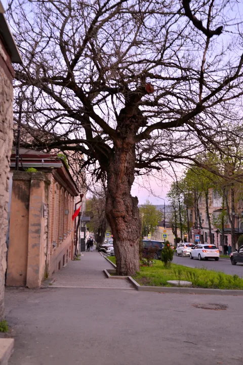 Фотография 23