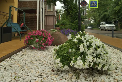 Балтика 24-25, кадр 42