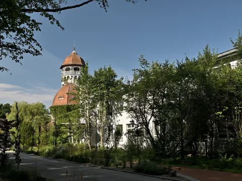 Фотография 13