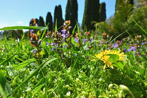 Фотография 20