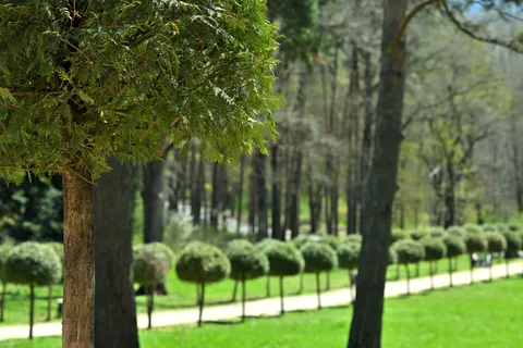 Фотография 25