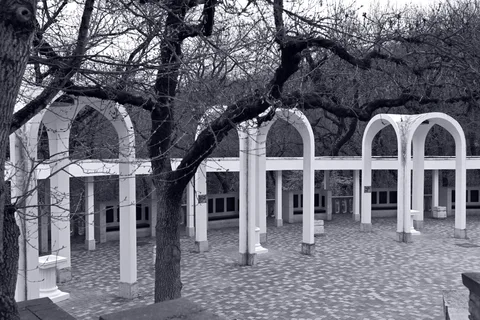 Фотография 16