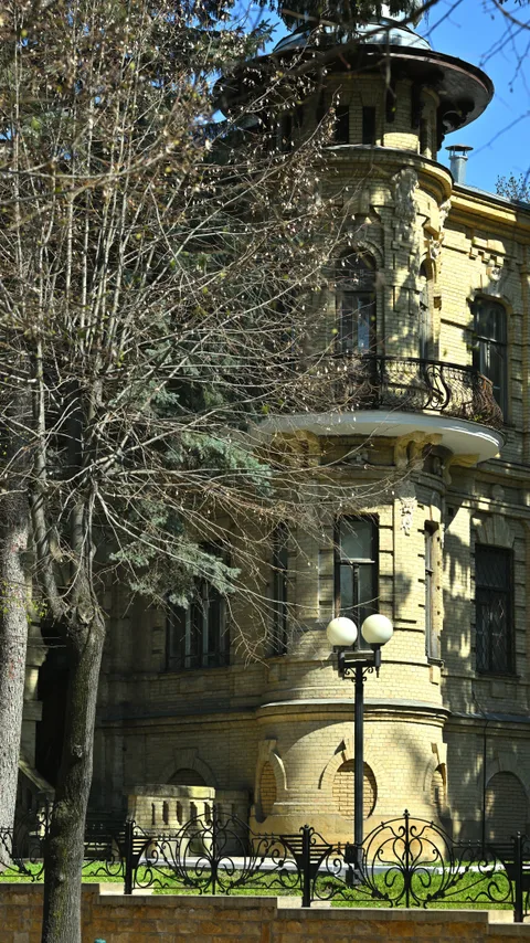 Фотография 37