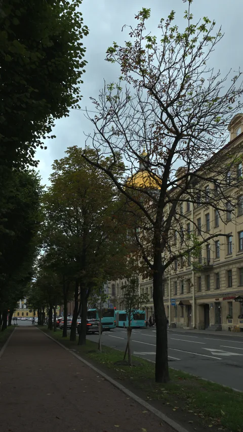 Фотография 12