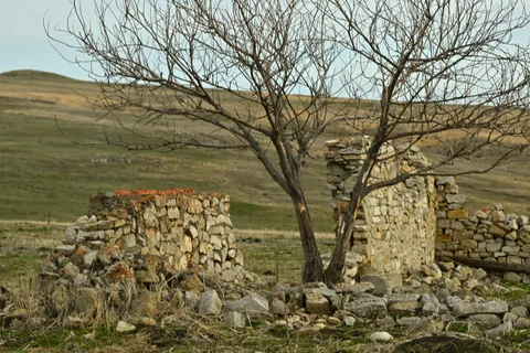 Фотография 2