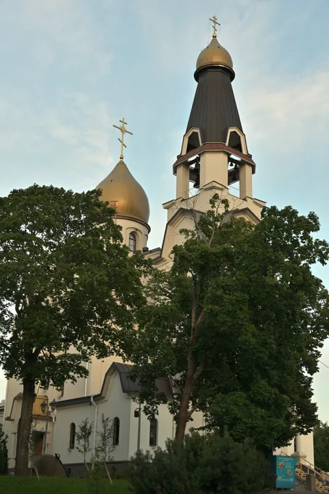 Фотография 8