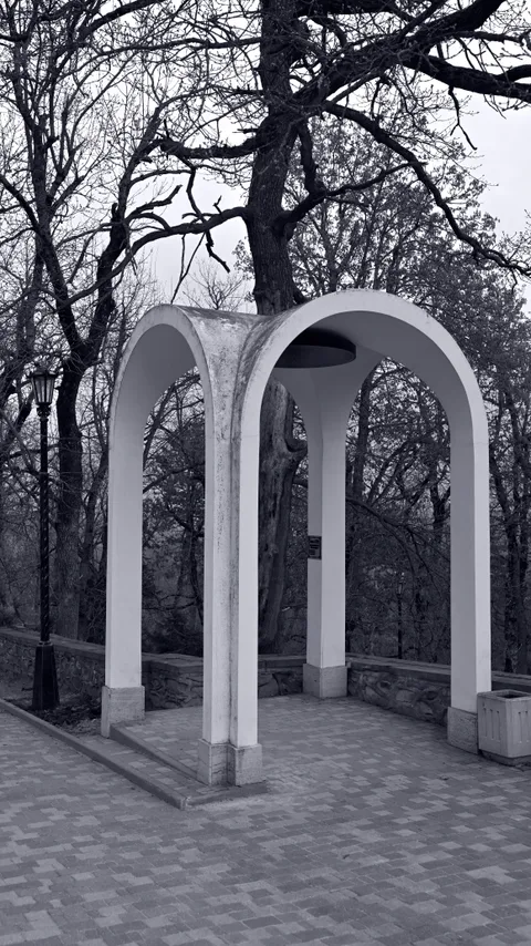 Фотография 17